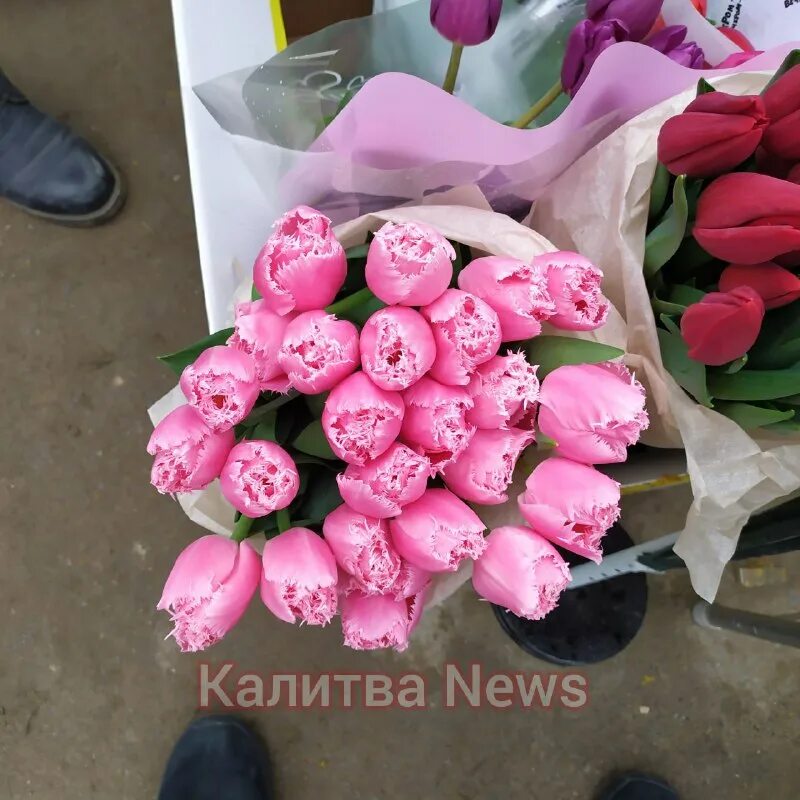 на день рождения полагается дарить букет из нечетного числа цветов. на день рождения полагается дарить букет из нечетного числа цветов. цветочный рынок. букет из пионов цвет лосось. тюльпаны стоят 30 рублей за штуку.