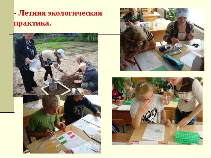 Учебная практика экология. Практики по биологии. Учебная практика экология. Характеристика экологу по практике. Анализ состояния экосистем.