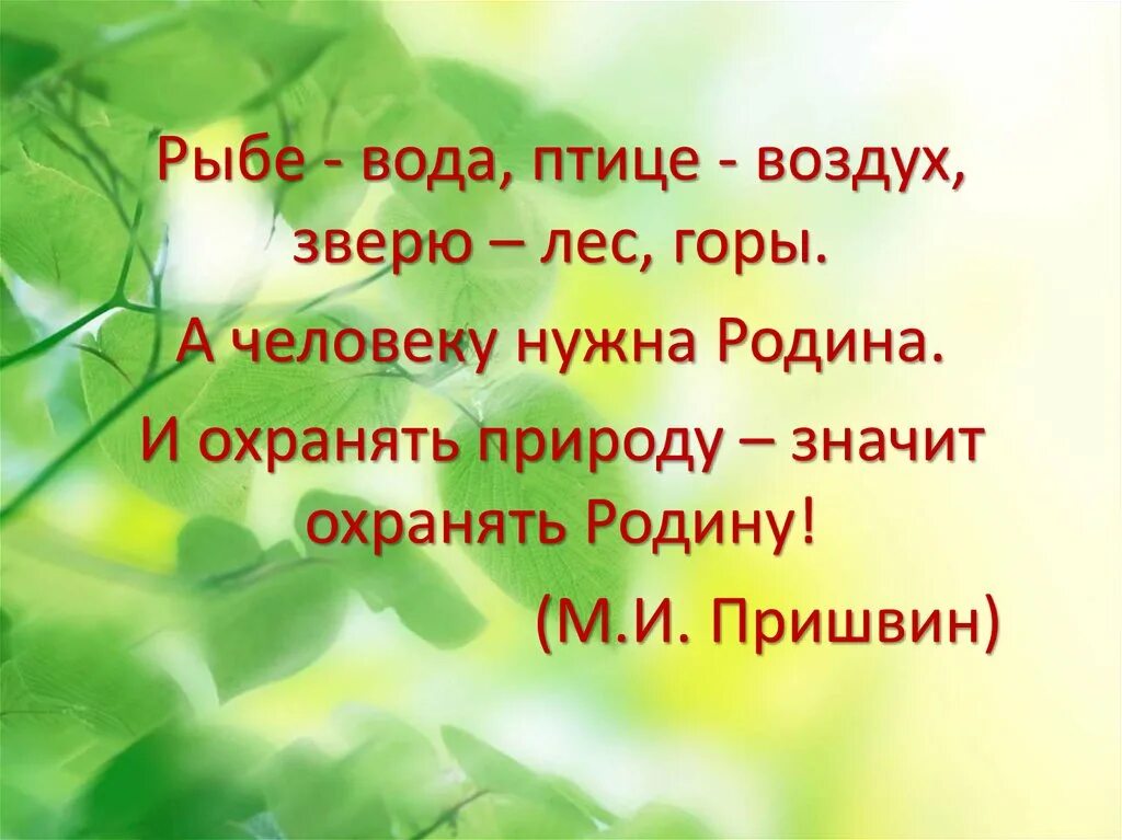 Нужно любить природу. Пришвин охранять природу. Рыбе-вода птице-воздух зверю-лес. Охранять природу значит охранять родину пришвин. Пришвин любить природу значит любить родину.