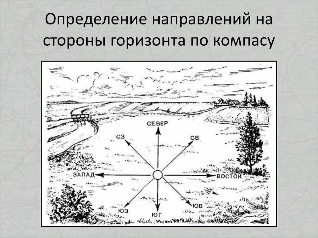 Распредели все стороны горизонта по группам. Схема направления сторон горизонта. Как определить стороны горизонта. Основные стороны горизонта схема. Как определить стороны горищонт.