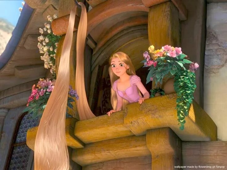 Tangled rose. Tangled rose