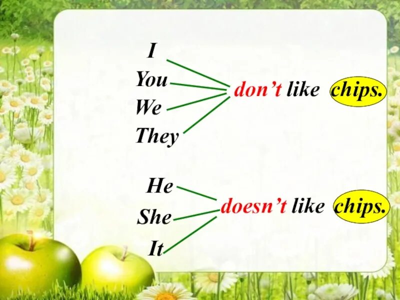 Does she like. He Loves Jelly презентация. Like don't like упражнения. Грамматика i like i don't like. Презентация i like.