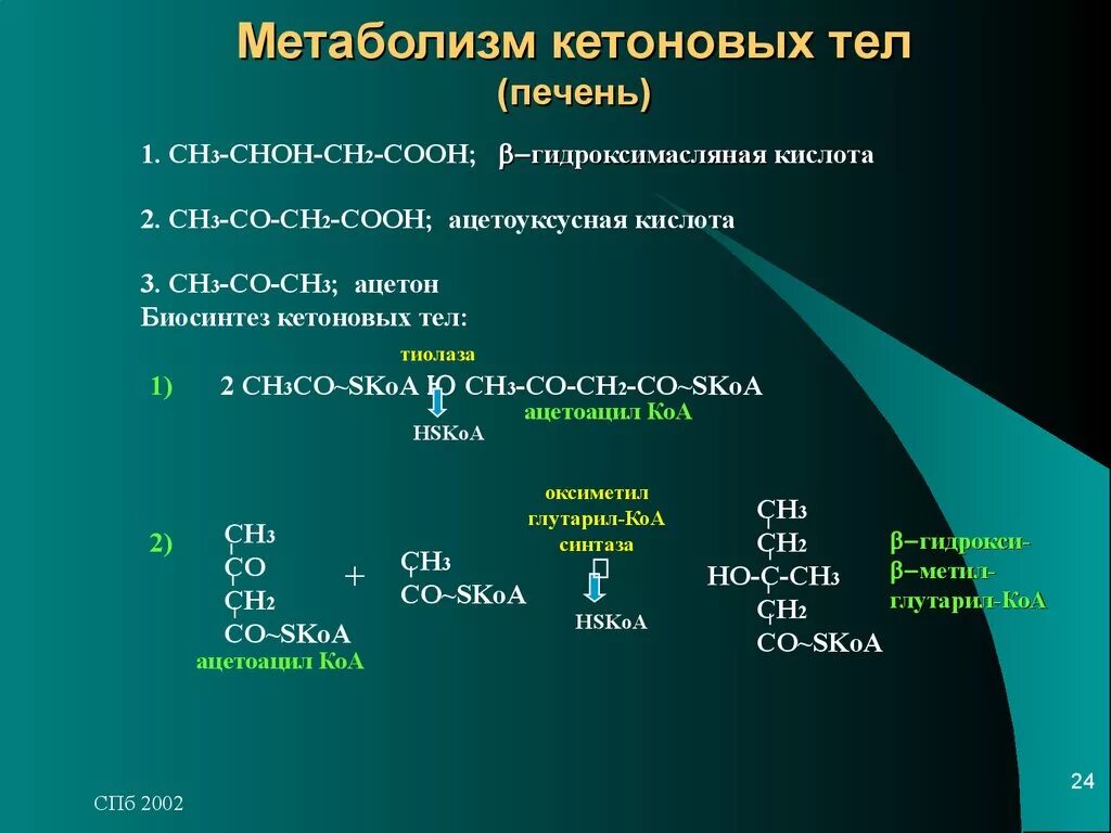 Обмен липидов кетоновые тела. Метаболизм кетоновых тел. Метаболизм ацетона в организме. Метаболиты синтеза кетоновых тел. Сн3 со сн3