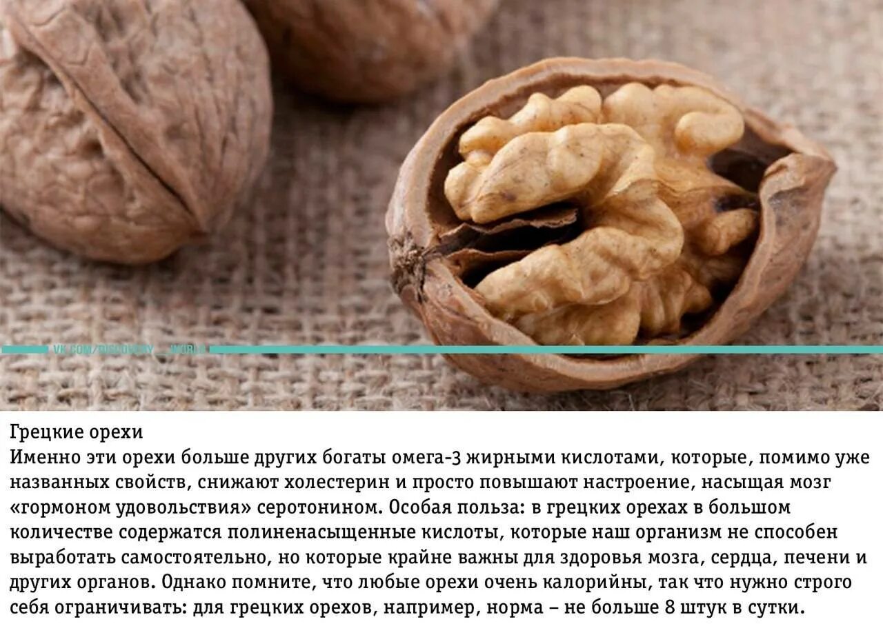 Сколько можно съесть грецких. Грецкий орех калорийность в 1 орехе. норма грецких орехов в день. строение грецкого ореха. грецкий орех польза для женщин.