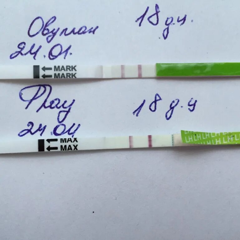 Две овуляции форум. Тест на овуляцию Frautest Ovulation. Полоски на овуляцию фраутест. Фраутест на овуляцию динамика. Фраутест на овуляцию положительный.