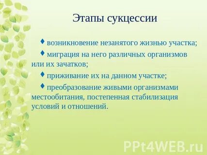 Установите последовательность этапов жизни на земле