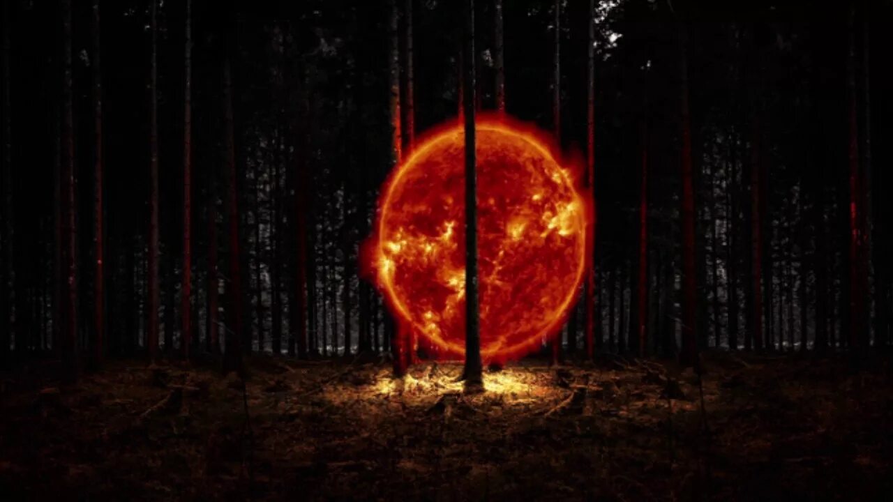 Огненный шар ночью. Горящее солнце. Лес в огне. Огненный круг.
