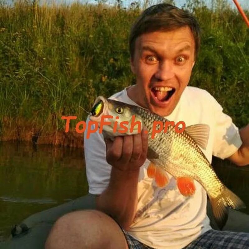 приманка для ельца сорожка красноперка. поклёвка крупной щуки. рыбный ресторан в адлере новиков. клева сочи. поклевка судака.