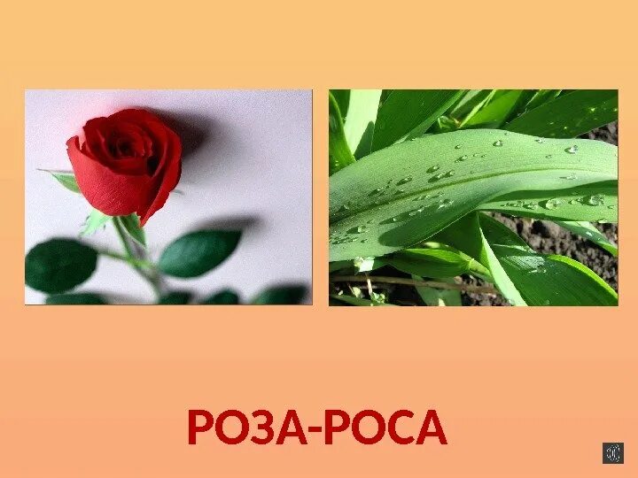 Подобрать к слову роса