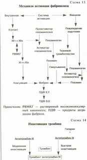 Функциональная роль фибринолиза заключается
