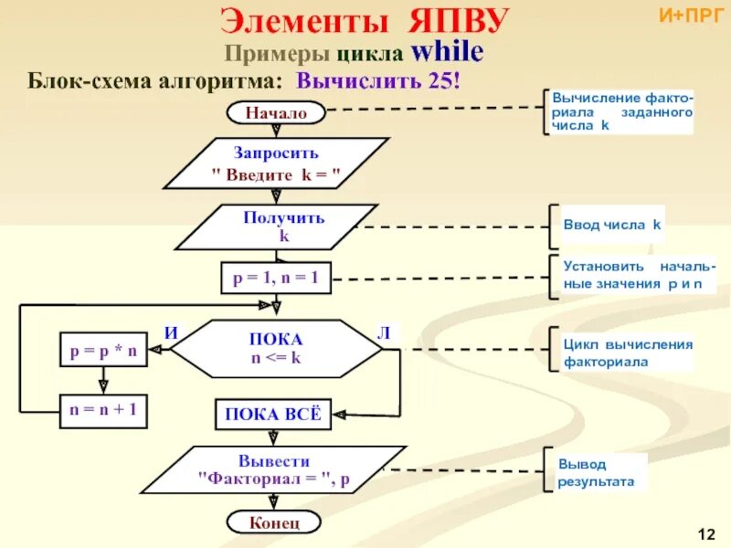 Какую структуру алгоритм нахождения. Цикл do while c++ блок схема. блок схемы алгоритмов цикл while. блок схема алгоритма циклов c++ do. while блок схема c++.