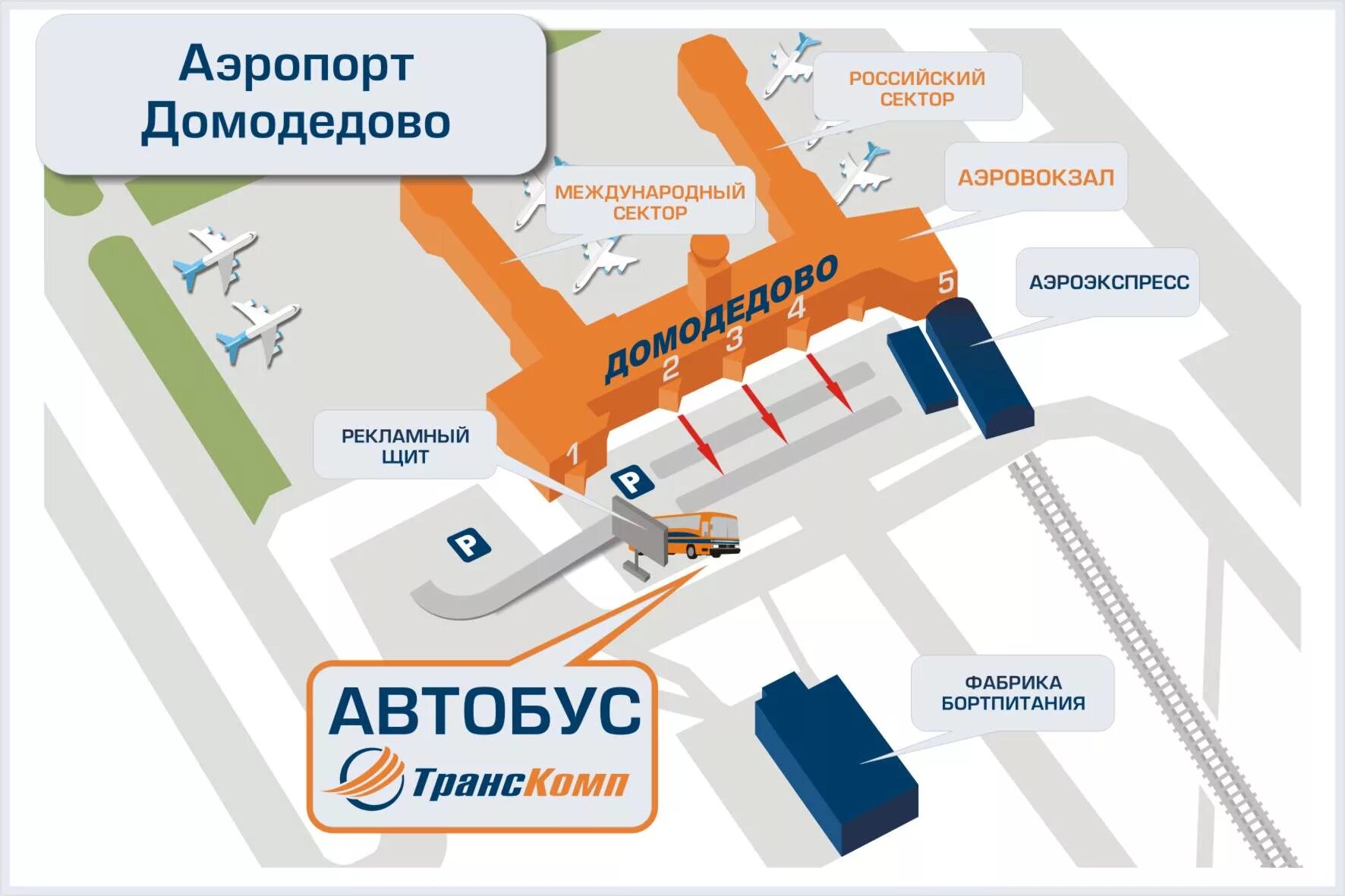 План Домодедово аэропорт схема. Аэропорт Домодедово на карте. Схема аэропорта Домодедово автобус. План аэропорта Шереметьево. Аэроэкспресс шереметьево какой терминал