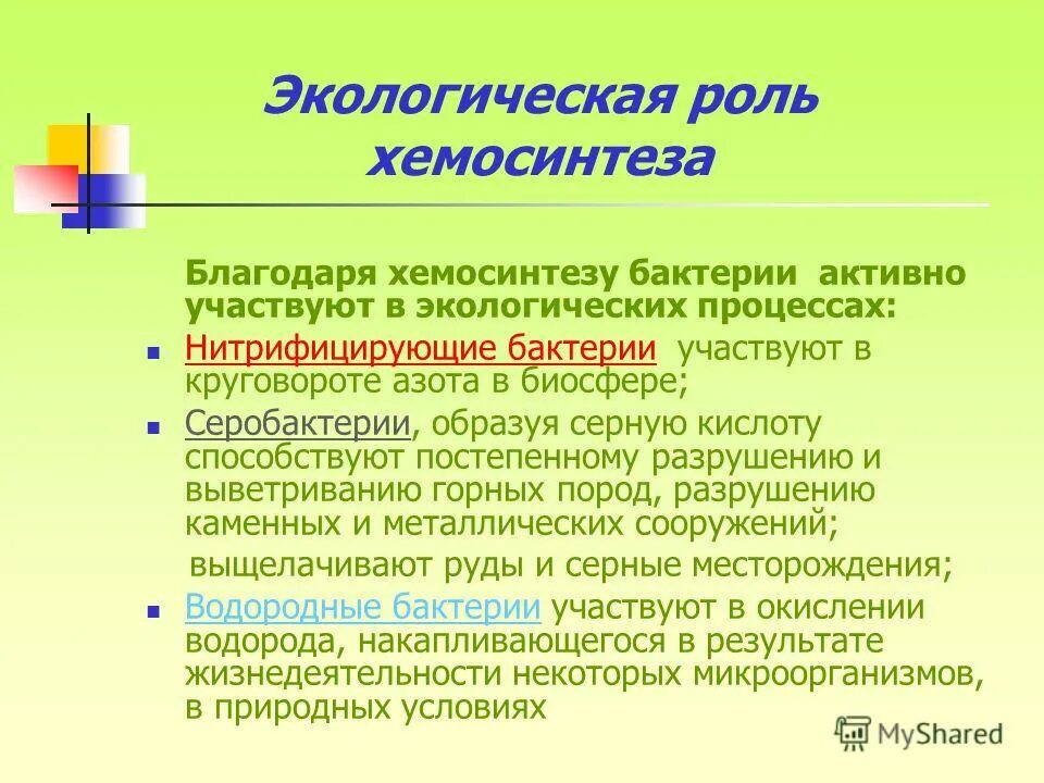 Какую роль подробное описание. Экологическая роль хемосинтеза. Роль хемосинтеза в природе. Экологические функции хемосинтетиков. Роль хемосинтезирующих бактерий.