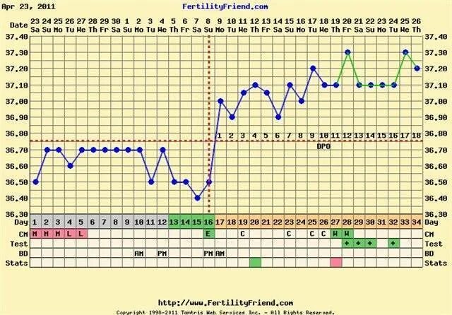 График базальная температура при беременность 37. График базальной температуры 36,7 при беременности. Базальная температура на 2-3 неделе беременности. Понижение базальной температуры перед овуляцией. 37 1 2 недели