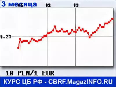 Курс злотого к евро. Курс злотого. Курс валют в Польше.