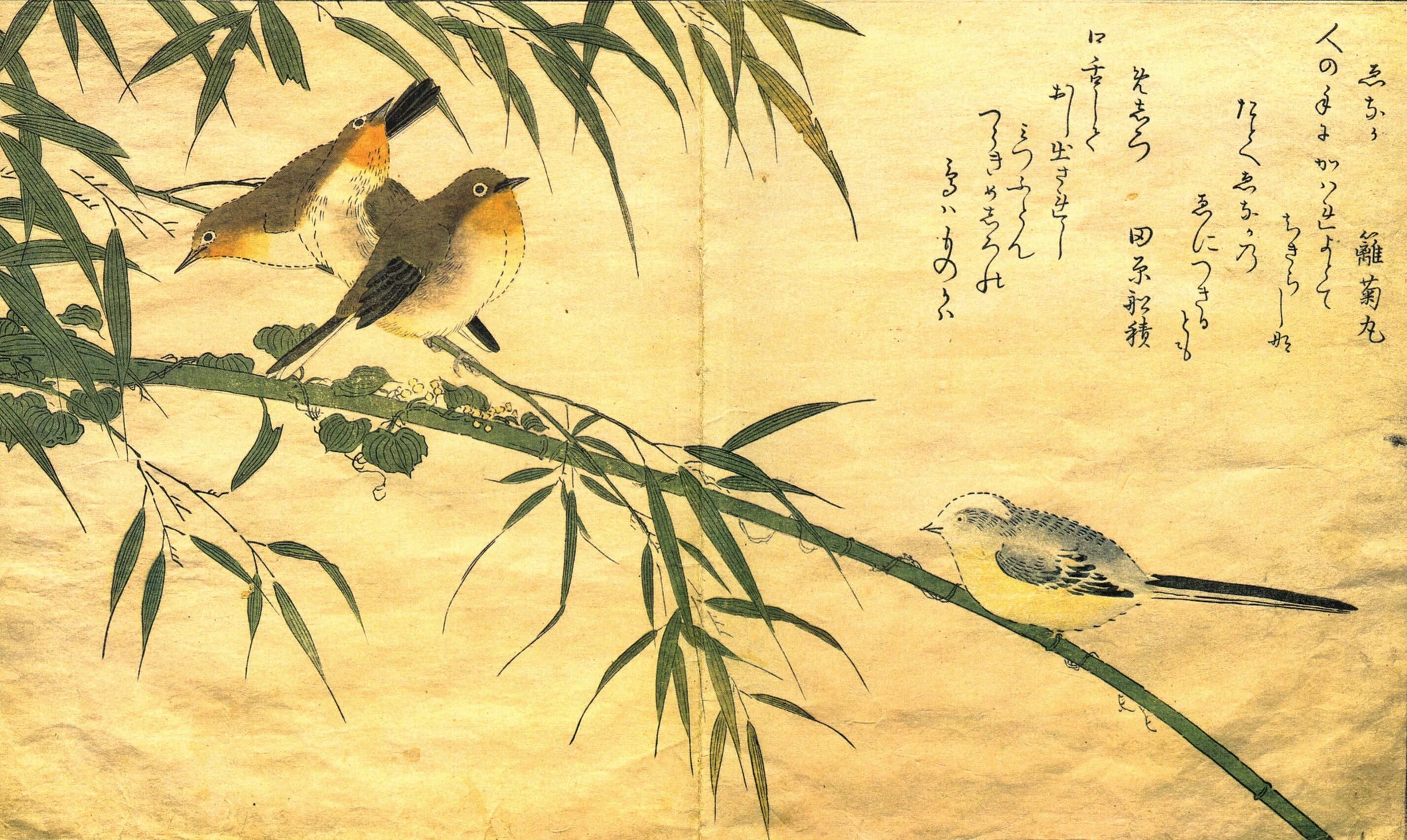 -Китагава Утамаро - японский художник (1753-1806). Японский художник Китагава Утамаро. Японская живопись Ива и Соловей хокку. Японская хайку гравюра.
