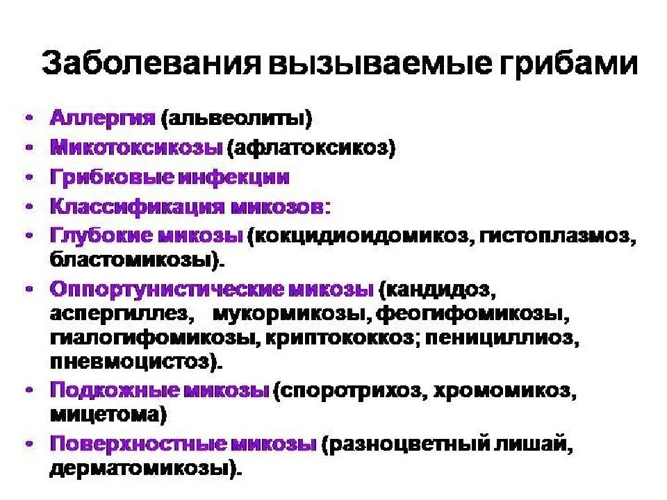 Соберите информацию о грибковых заболеваниях. Заболевания вызываемые грибами. Заболевания вызываемые патогенными грибами. Заболевания вызываемые грибами микробиология. Какие заболевания вызывают грибы.