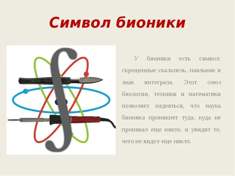 Бионика наука. Бионика примеры. Биологическая Бионика примеры.