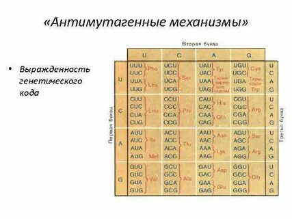 Таблица осуществление