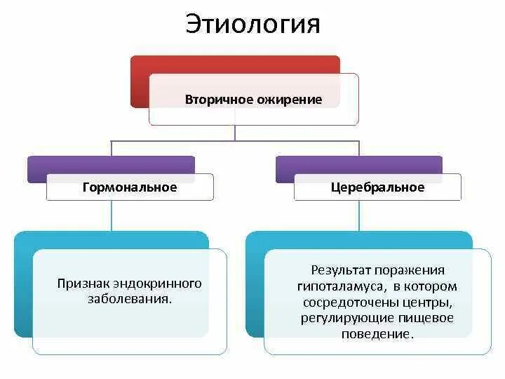 Генез ожирения. Патогенез первичного и вторичного ожирения. Патогенез вторичного ожирения. Первичные и вторичные формы ожирения. Этиология ожирения у детей.