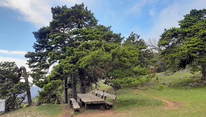 Тайники кости оп 2. Кордон камень. Кордон красный камень. Кордон красный камень. Адуй камень свердловская область.