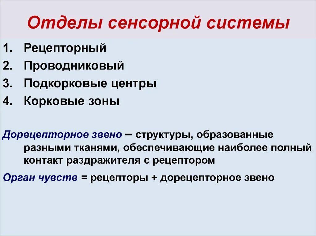 Элементы сенсорных систем. Отделы сенсорной системы. Тактильная сенсорная система отделы. Основные отделы сенсорной системы. Структуры и отделы сенсорной системы человека.