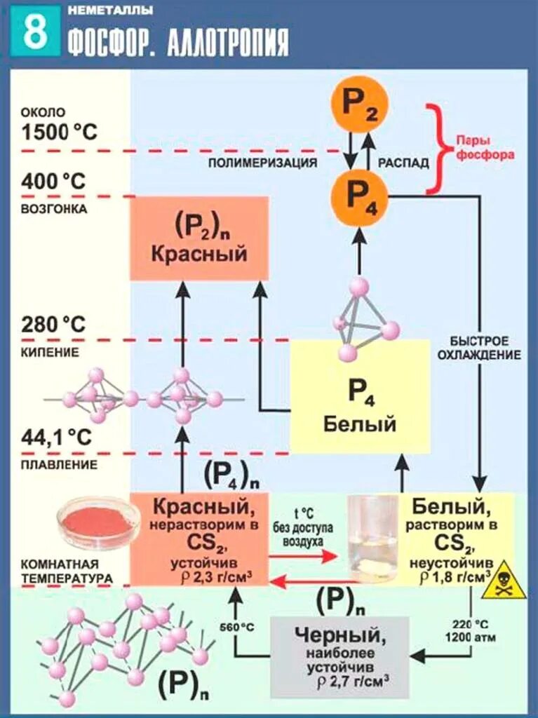 Распад пары. Фосфор инфографика. Фосфор и его соединения инфографика. Фосфор по химии. Инфографика по химии неметаллы.