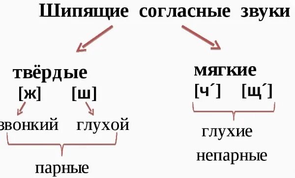 Шипящие согласные звуки 1 класс правило. Шипящие буквы 1 класс. Шипящие согласные в русском языке. Шипящие согласные звуки 2 класс задания. Какие звуки всегда шипящие