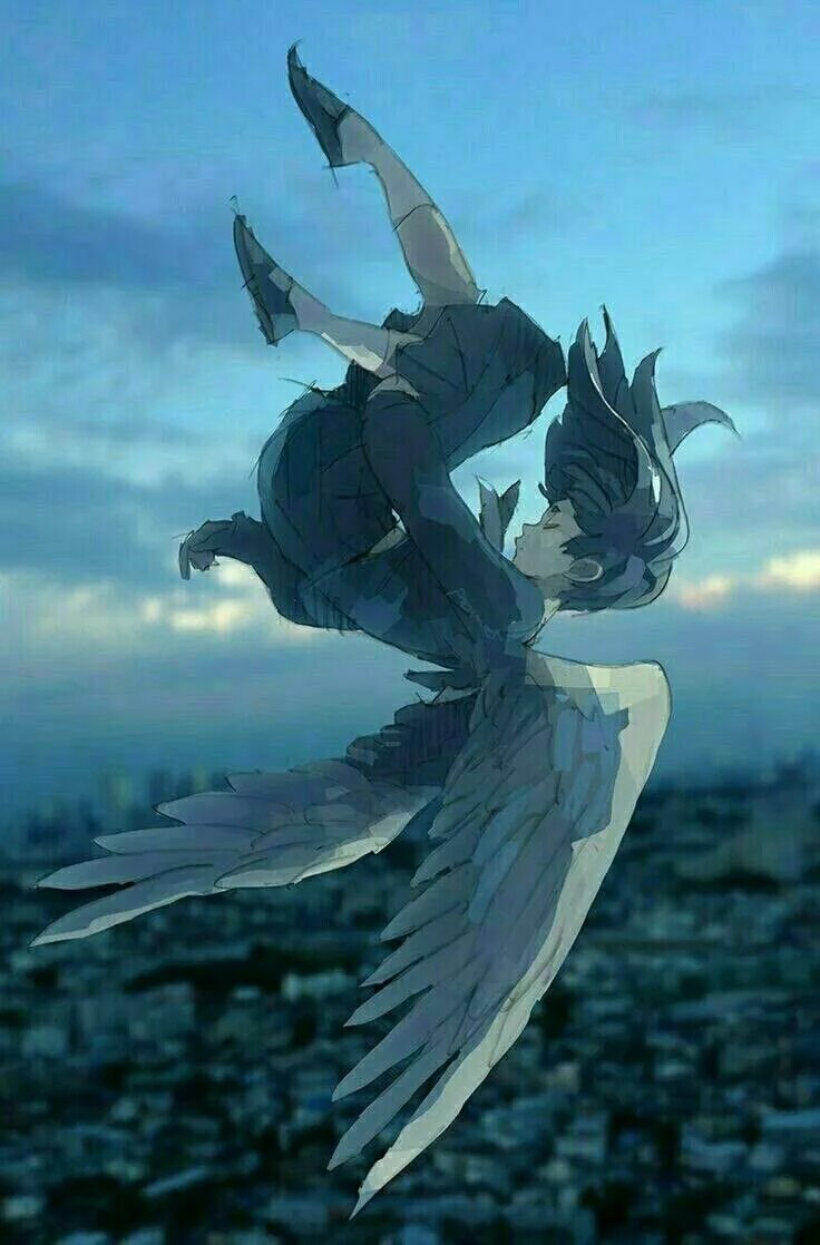 I fall from the sky