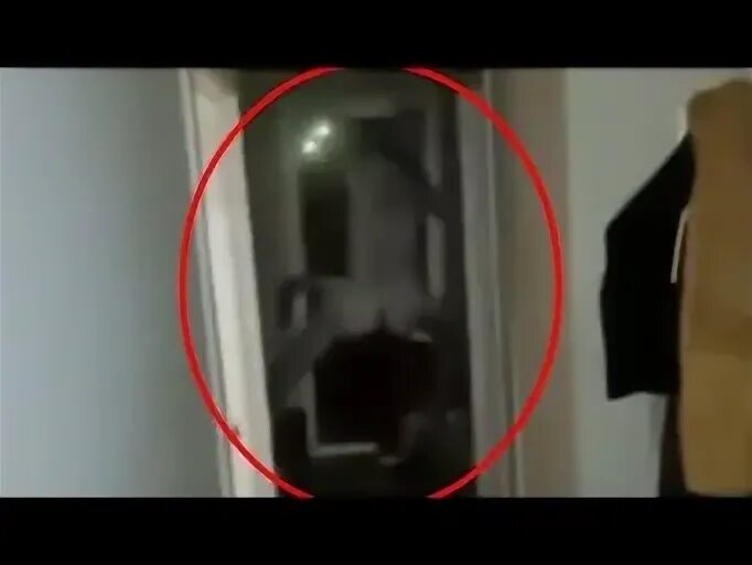 Что будет если попадет на камеру. Домовой попал на камеру. дьявол попал на камеру. существа попавшие на камеру.