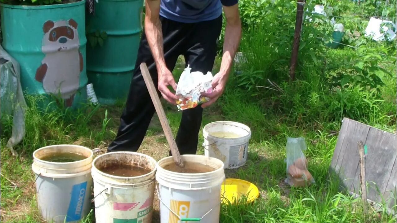 Удобрение для винограда. Подкормка винограда. Подкармливание винограда. Внесение удобрений под виноград. Чем удобрять виноград весной