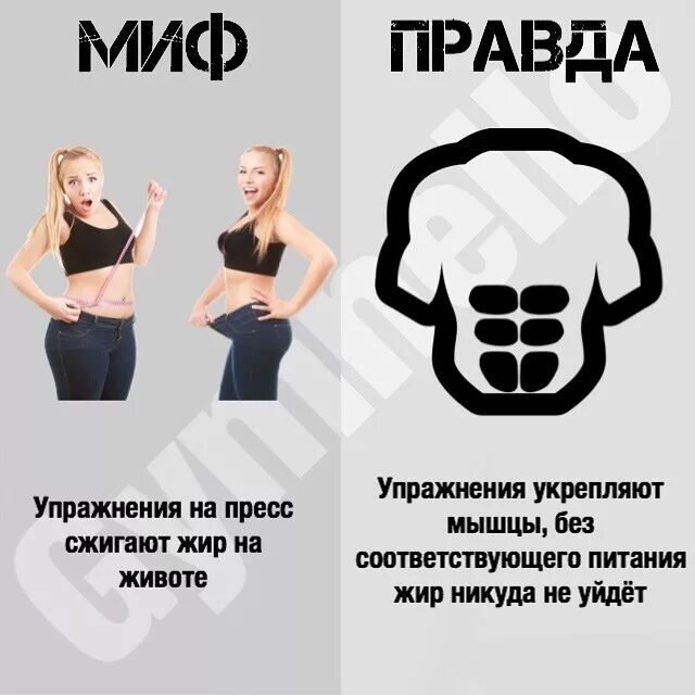 Правда похудеть. Миф правда фитнес. мифы о фитнесе. мифы о питании. интересные факты о фитнесе.