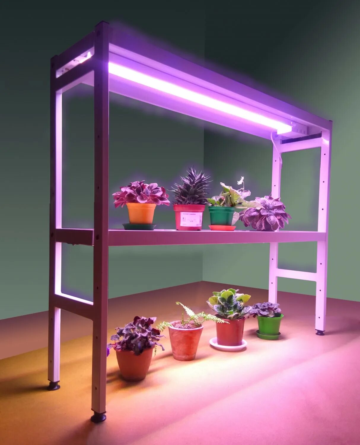 фитолампа grow light 40 вт. фитолампа g23. фитолампа эра 10вт. ваяк лампа фитосветильник. озон фитолампы для рассады на подоконнике.