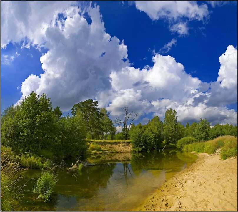 Эх река река. Летний пейзаж. Пейзажи России. Пейзажи средней полосы России. Природа речка.