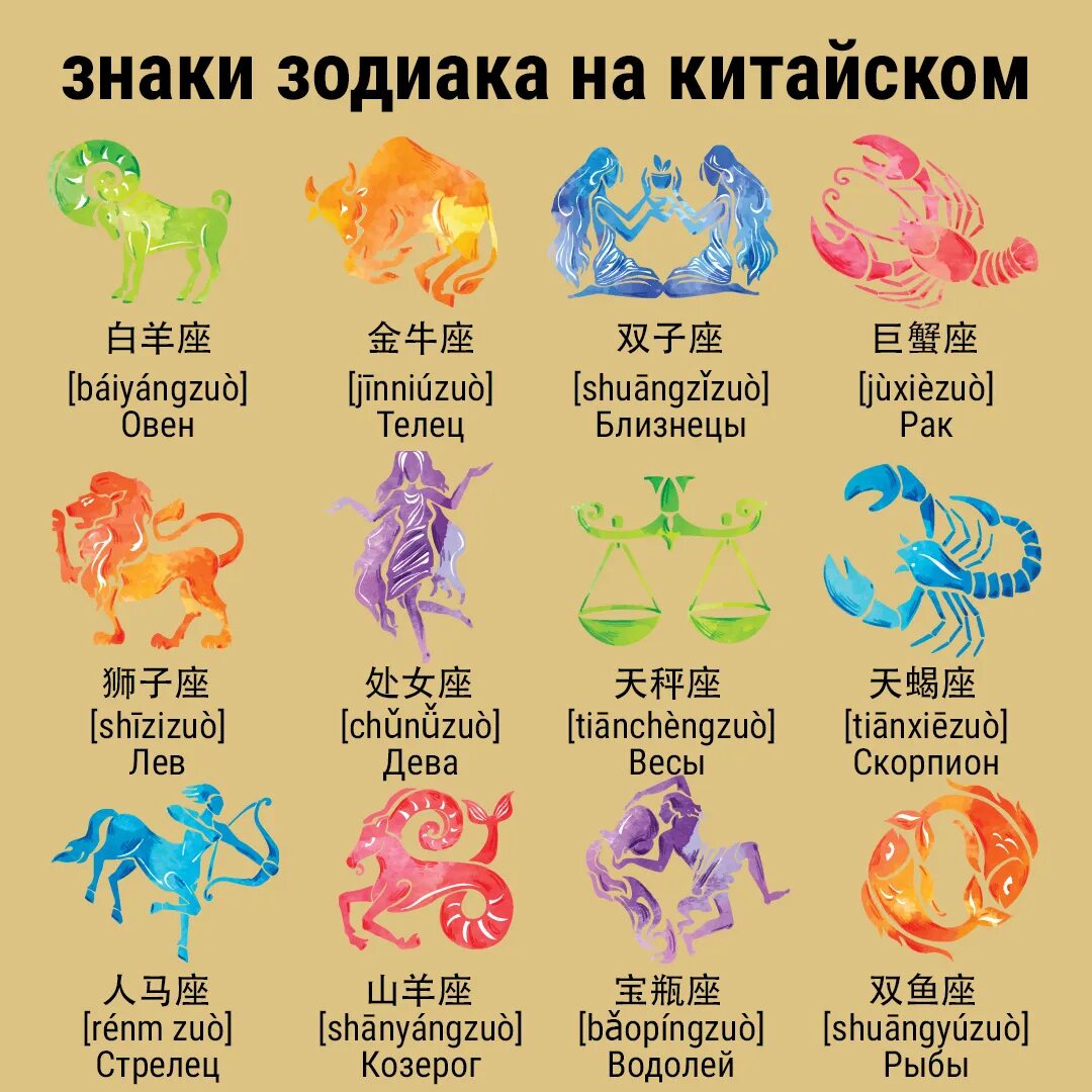 2016 год кого по знаку зодиака. Новогодний гороскоп. 2016 год кого по знаку зодиака. 2016 год кого по знаку зодиака. 2016 год кого по знаку зодиака.