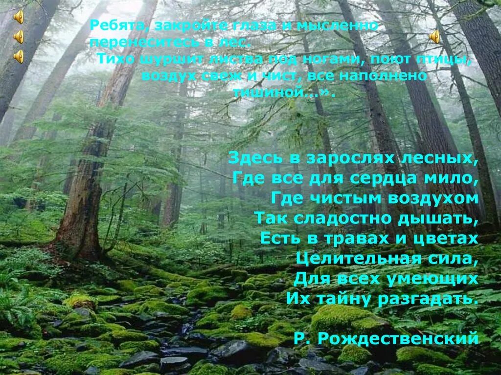 Самый большой текст леса. Лесная чаща текст. Растительные сообщества. Лесных дебрях в управлении. Тихий лес организация.