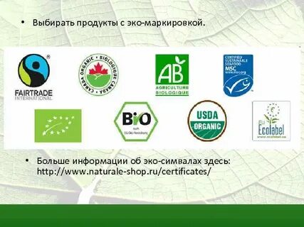 Партнер эко