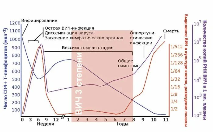 Субклинический вич. ВИЧ 3 стадия субклиническая. ВИЧ инфекция 3 стадии субклинический что это. ВИС инфекция стадия 3 субклиническая. Субклиническая стадия ВИЧ симптомы.