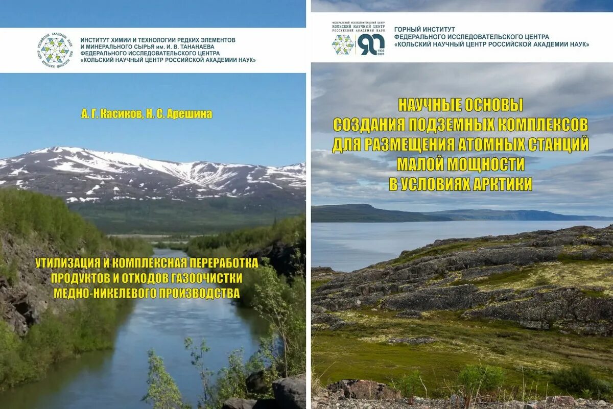Моя будущая профессия художник. Кольский север электронная библиотека. Институт проблем промышленной экологии севера логотип. Труды кольского научного центра. Экономика мурманской области.