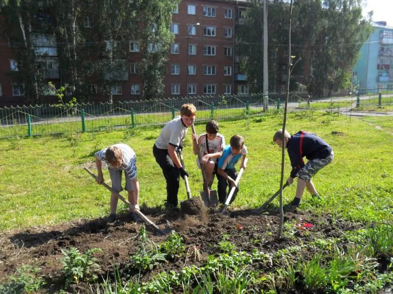 Трудоустройство несовершеннолетних. Общественные работы несовершеннолетних. Занятость подростков. Летняя Трудовая практика в школе.