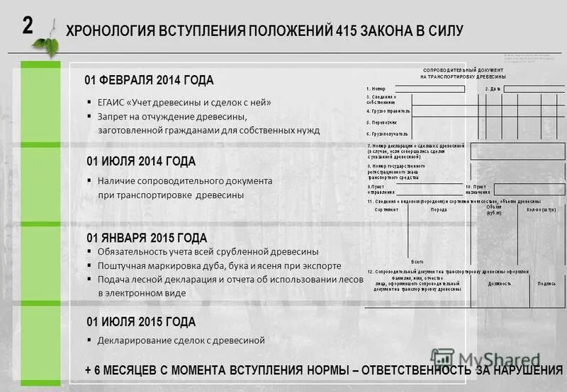 Вступить в положение. Вступить в положение