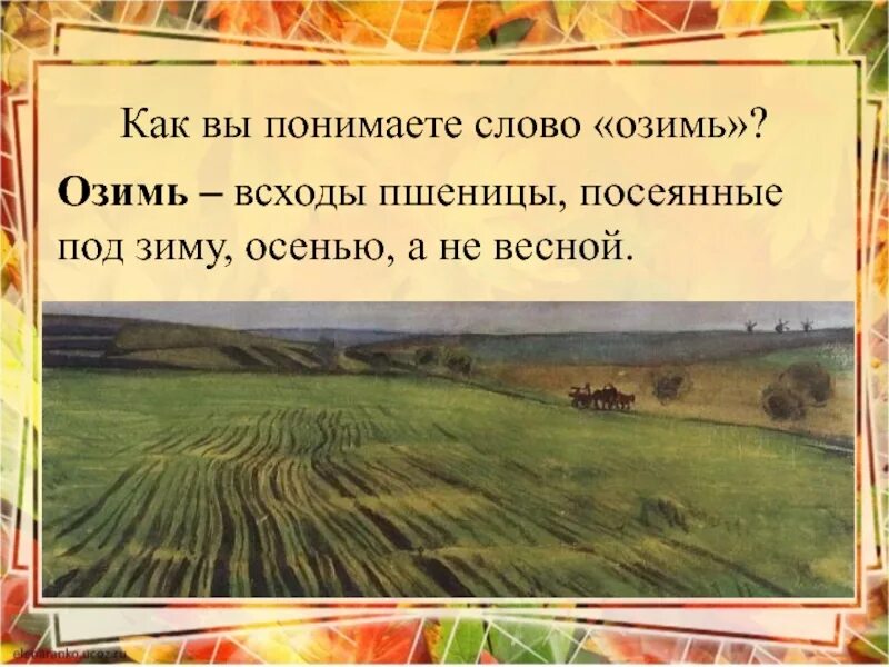 В поле давно уже зеленела посеянная. Значение слова озимь. Осень наступила Бальмонт. Озимь это что такое для детей. Плещеев озимь на полях.