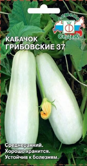 Семена Кабачок Грибовские 37, 1,5г купить в магазине 6соток - Красноярск