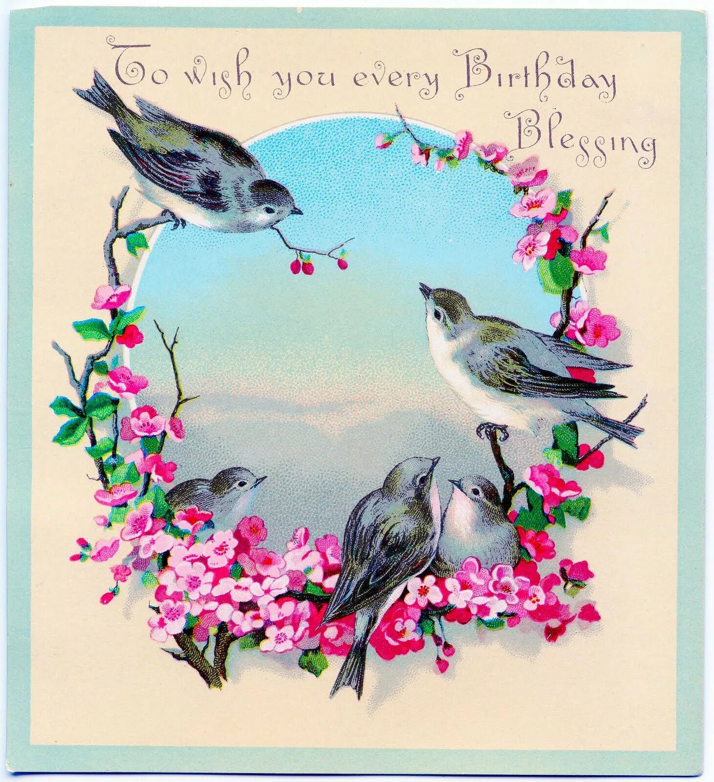 Сднем рождения с птичами. Поздравления с птичками. Открытка с днём рождения с птичками. Поздравления с птицами.