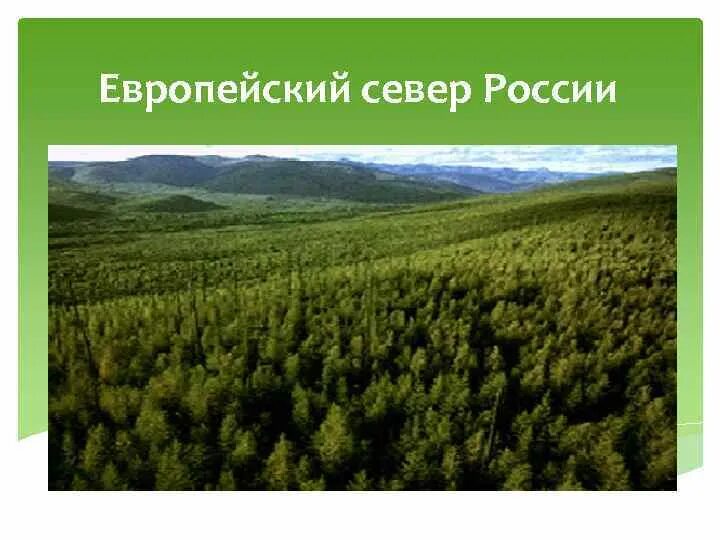 Республики европейского севера россии. Европейски й сеаер.