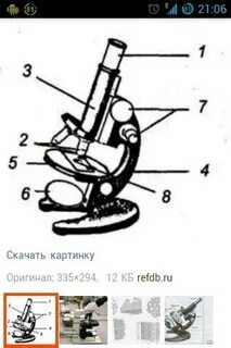 Микроскоп картинка 5 класс биология