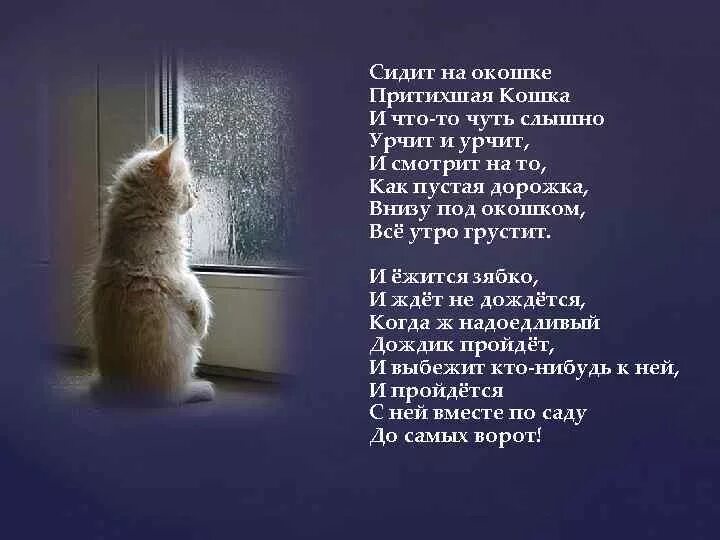 Кошка на окошке стихотворение. Сидит кошка на окошке стих. Стих окно. Стих про кошку у окна. Песня кошка ночь
