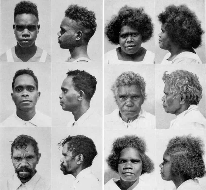 Веддо-австралоидная раса. Человеческие расы австралоидная. Австралоидная раса раса. Австралийская негроидная раса.