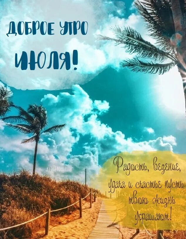 Доброе утро ноготки. Доброго летнего утра и хорошего дня. Открытки с добрым июньским утром. Открытки с добрым июльским утром самые красивые. Аватарка лето.