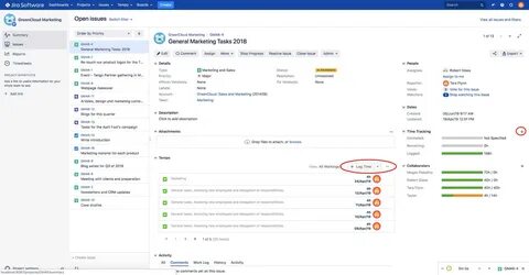 Jira issue